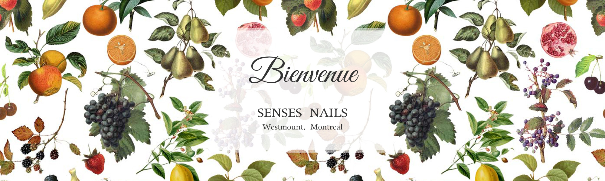 SENSES NAILS welcome